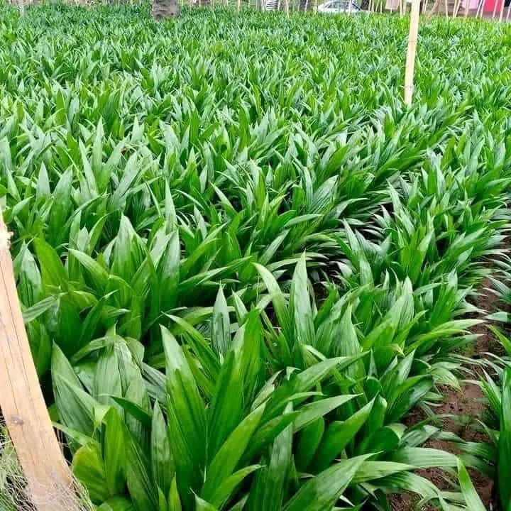 WhatsApp-Image-2023-11-03-at-12.14.04_327d75a7