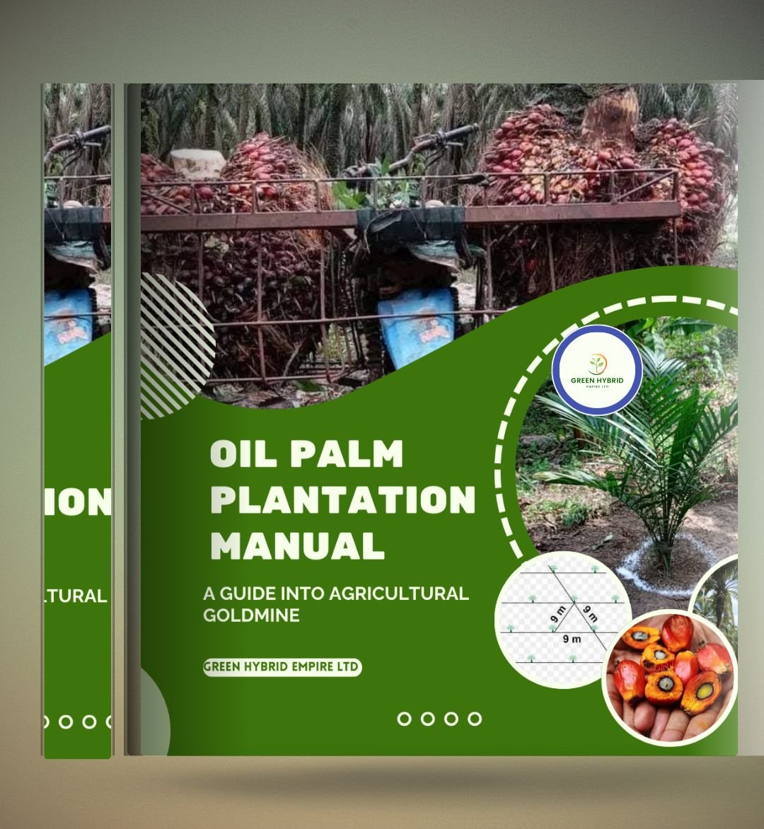 WhatsApp Image 2025-01-26 at 11.41.32